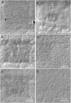 Graphene Oxide-Hybridized Waterborne Epoxy Coating for Simultaneous Anticorrosive and Antibiofilm Functions